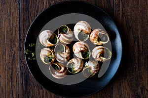 Escargots de Bourgogne - Snail Food with herbs butter, France gourmet dish.