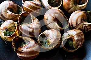 Escargots de Bourgogne - Snail Food with herbs butter, France gourmet dish.