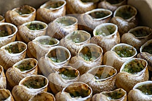 Escargots de Bourgogne - Snails with garlic butter, close up