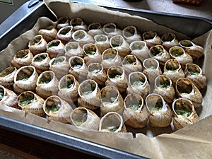 Escargots de Bourgogne - Snails with garlic butter, close up