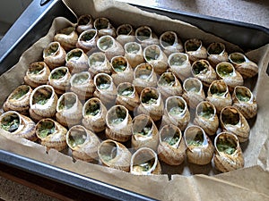 Escargots de Bourgogne - Snails with garlic butter, close up
