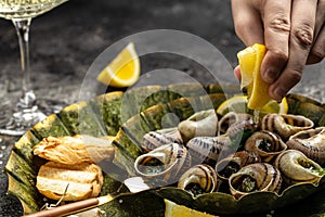Escargots de Bourgogne or Snails with herbs, butter, garlic on metal plate with forks. wine glass. gourmet food. Restaurant menu,