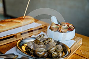 Escargots de Bourgogne, Snails herbs butter, traditional ceramic pan with parsley sauce, wooden table, gray background, selective