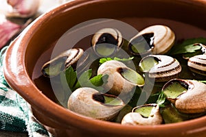 Escargots de Bourgogne. Snails with herbs and garlic butter.