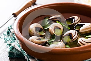 Escargots de Bourgogne. Snails with herbs and garlic butter.