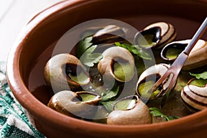 Escargots de Bourgogne. Snails with herbs and garlic butter.