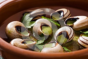 Escargots de Bourgogne. Snails with herbs and garlic butter.