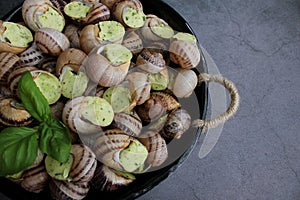 Escargots de Bourgogne. Snails prepared for cooking with garlic, butter and basil.