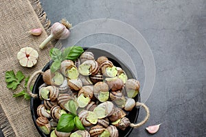 Escargots de Bourgogne. Snails prepared for cooking with garlic, butter and basil.