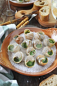 Escargots, French cuisine: snails sauce Burgundy and white wine