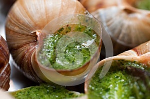 Escargots with garlic butter