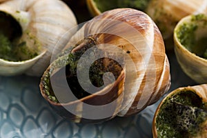 Escargots with garlic butter