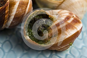 Escargots with garlic butter