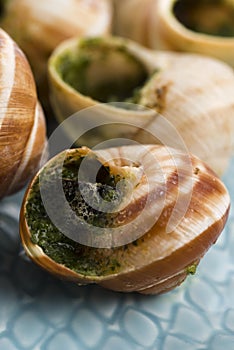 Escargots with garlic butter