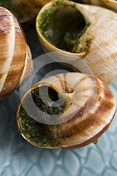 Escargots with garlic butter