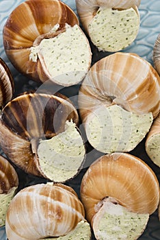 Escargots with garlic butter