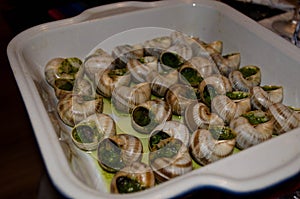 Escargots or snails in Garlic and Parsley Butter.