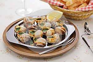 Escargots, French food