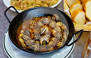 Escargots. Spanish cuisine