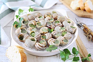 Escargots, traditional French cuisine: snails sauce Burgundy and baguette