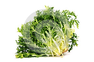 Escarole endive photo