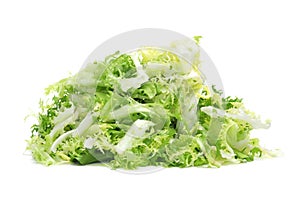 Escarole endive