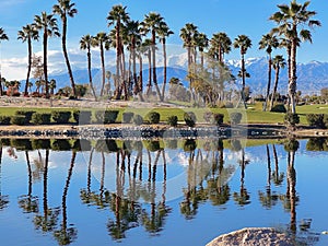 Escena Palm Springs Restaurant and Golf Course
