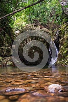 Escena serena de la selva con arroyo y enorme roca redondeada. photo