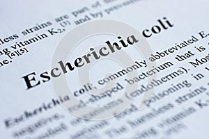 Escherichia coli photo