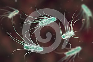 Bacterias  tridimensional ilustraciones 