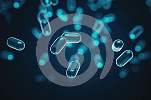 Escherichia coli bacterium, E.coli as part of intestinal normal flora.