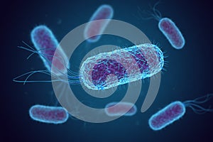 Escherichia Coli E. Coli. bacteria cells under microscope photo