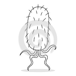 Escherichia Coli Microorganisms Vector Colorless