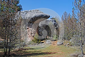 Escuarda de barcos in Enchanted City