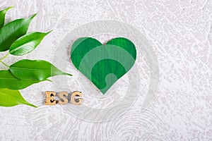 ESG environmental social management policy. Green heart, letters and leaves on a gray background