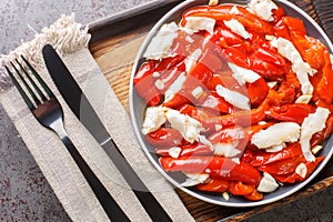 Esgarraet Red pepper and cod salad is a typical Valencian dish closeup on the plate. Horizontal top view photo