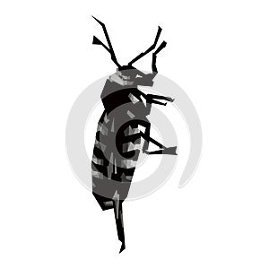 esign illustration of plant pest insects with isolated black and white style vector wpap pop art