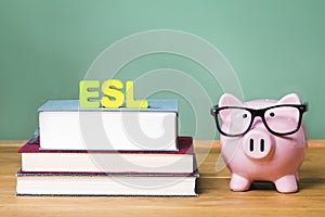 ESL theme with pink piggy bank with chalkboard