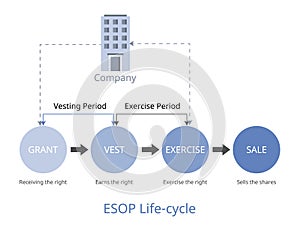 ESOP life cycle is employee stock ownership plan process since granting until sale