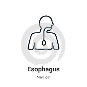 Esophagus outline vector icon. Thin line black esophagus icon, flat vector simple element illustration from editable medical