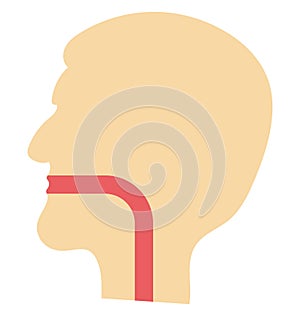 esophagus, throat, Isolated Vector icon that can be easily modified or edit