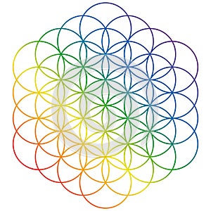 Esoteric symbol of the flower of life