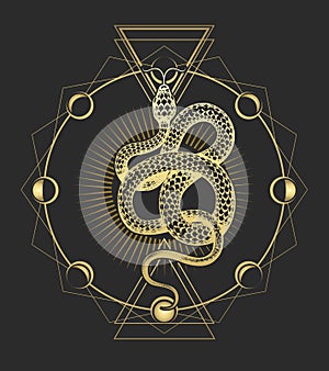 Esoteric Symbol of Snake Sacred Geometry Illustration