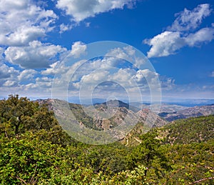 Espadan forest in Castellon