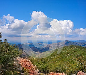 Espadan forest in Castellon