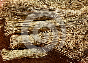 Esparto halfah grass used for crafts basketry