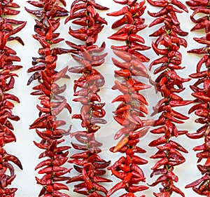 Espelette chilli peppers drying