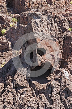 Espiritu Santo Island Rock Face Closeup