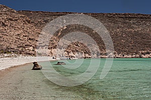 Espiritu Santo Island Shore Lunch