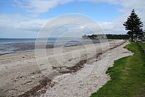 The esplanade on the Eastern beach in Auckland, New Zealand